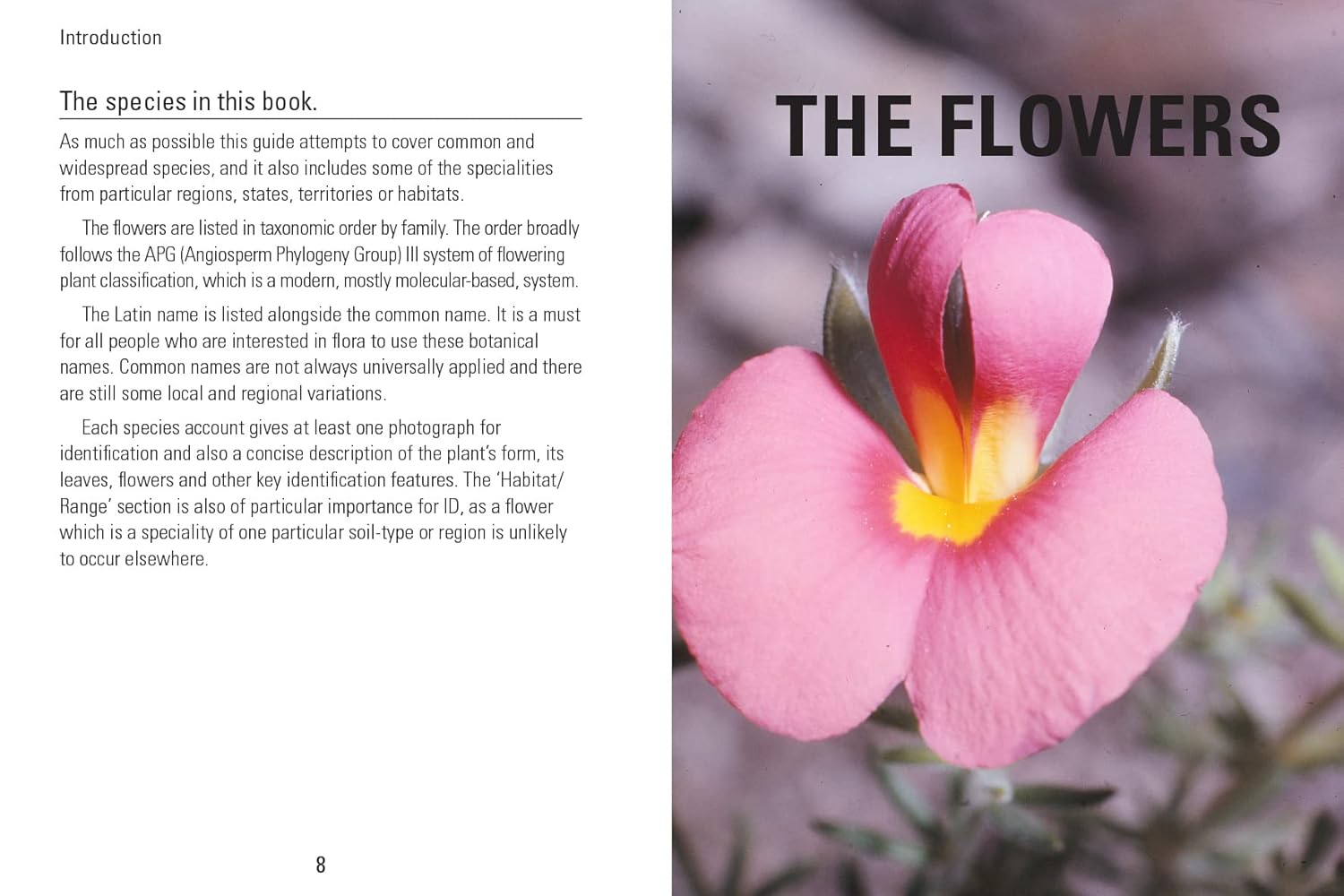 Reed Concise Guides: Wildflowers Of Australia