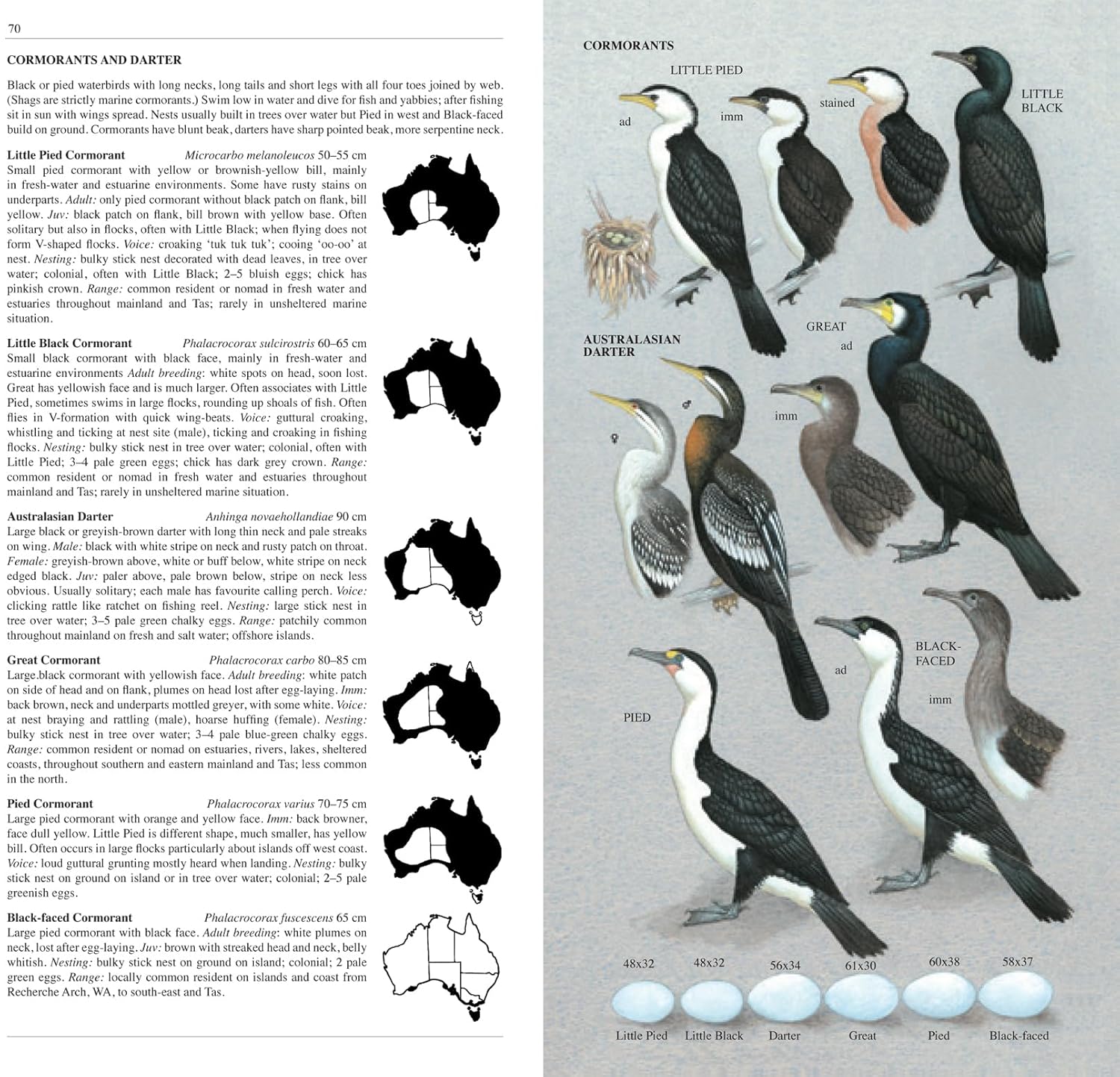 Slater Field Guide To Australian Birds Third Edition