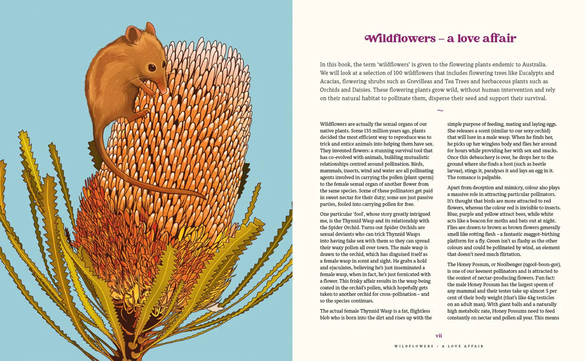 100 Australian Wildflowers