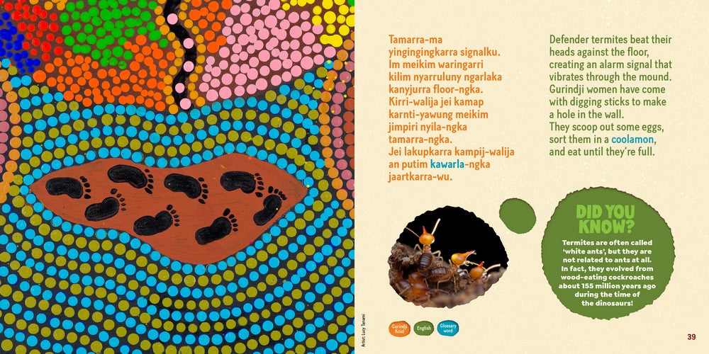 Tamarra A Story of Termites on Gurindji Country