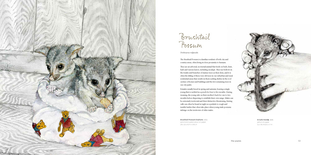 Celebrating Australia’s Magnificent Wildlife