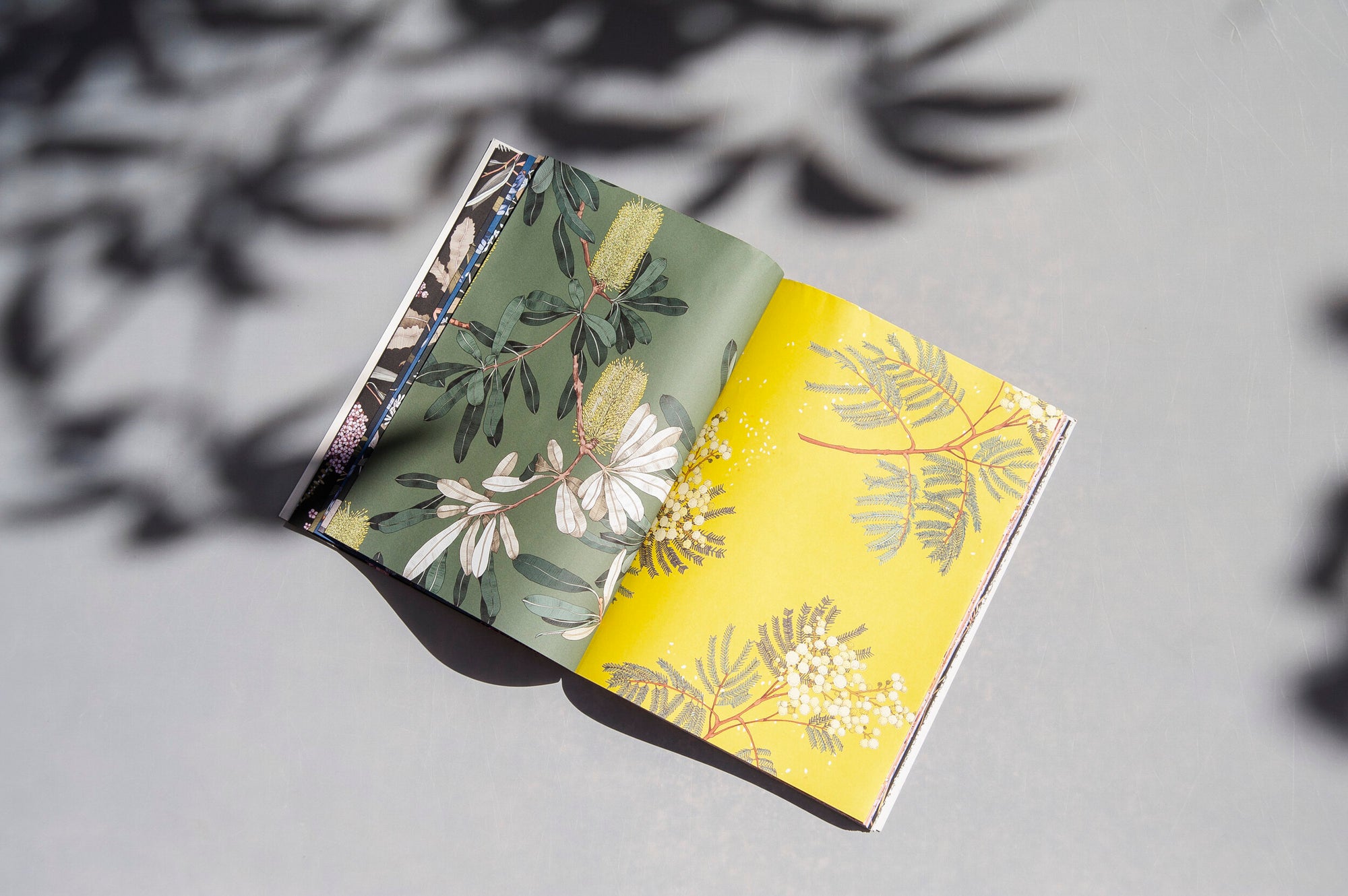 Botanicals by Edith Rewa: A Wrapping Paper Book