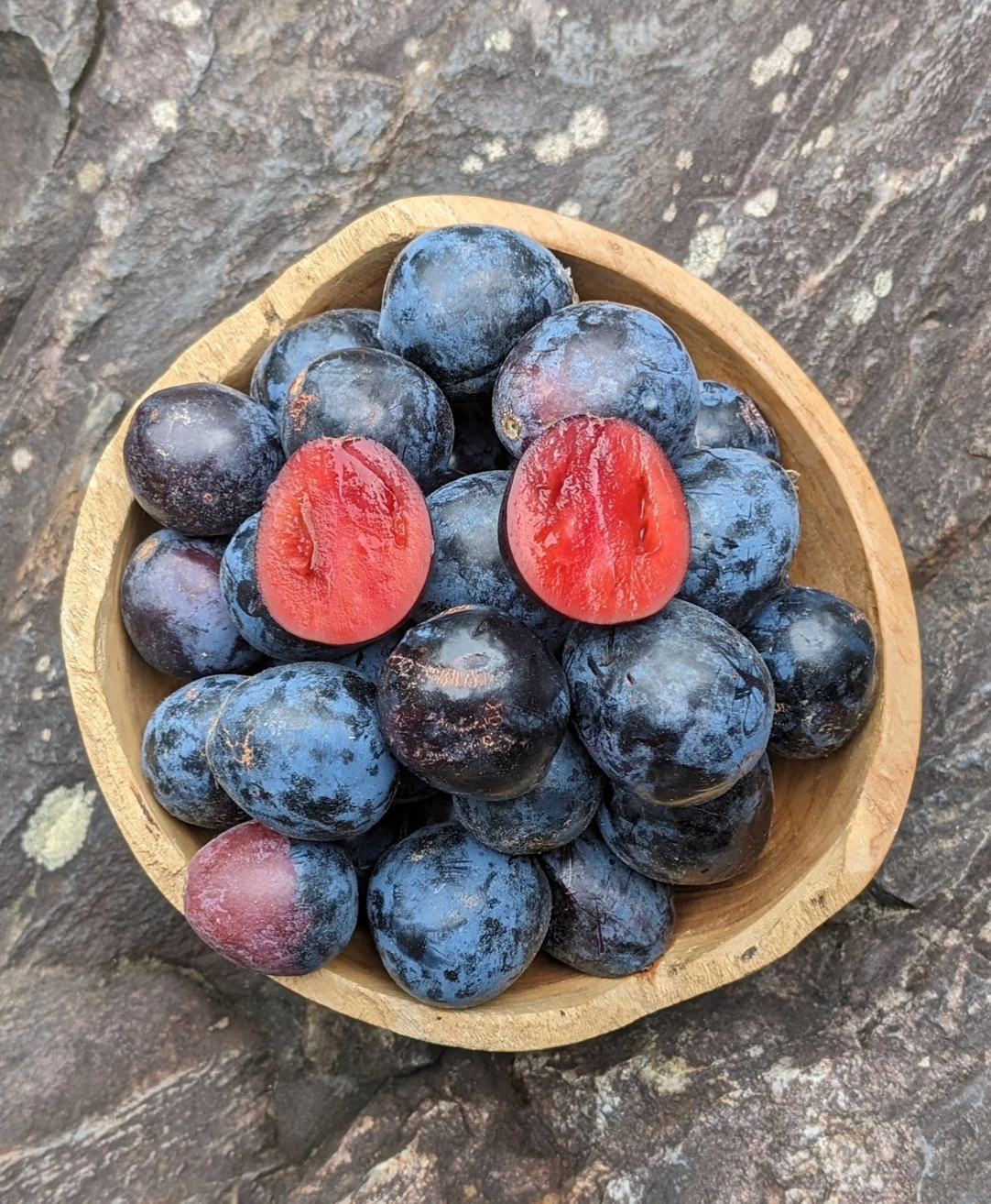 Ziggy's Salted Native Davidson Plum Vinegar