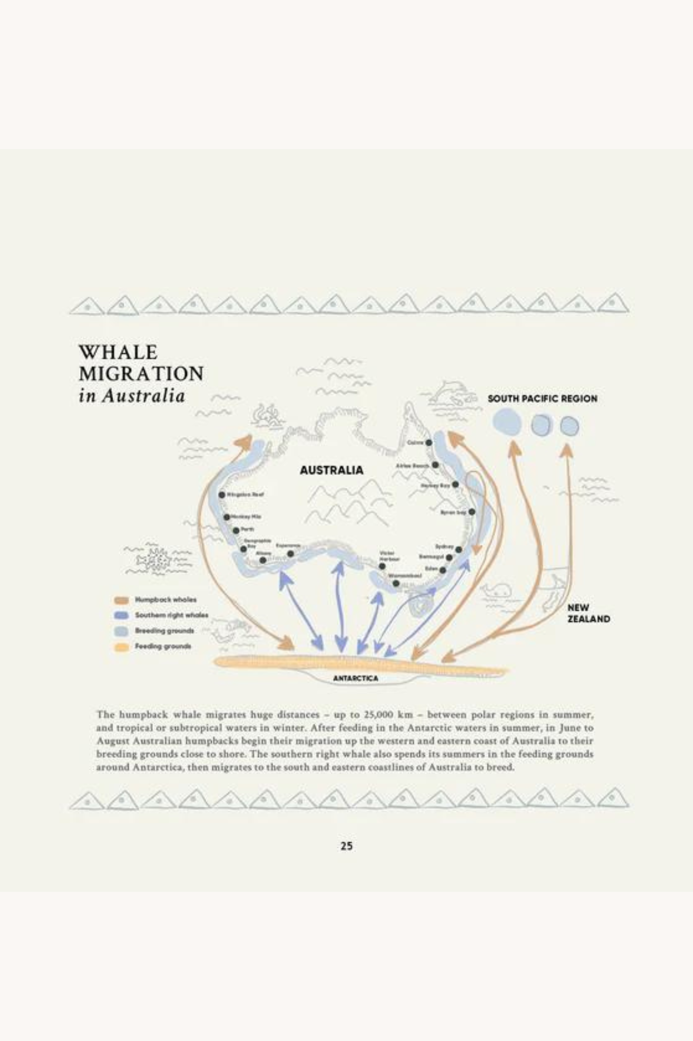 Gurawul the Whale: An ancient story for our time