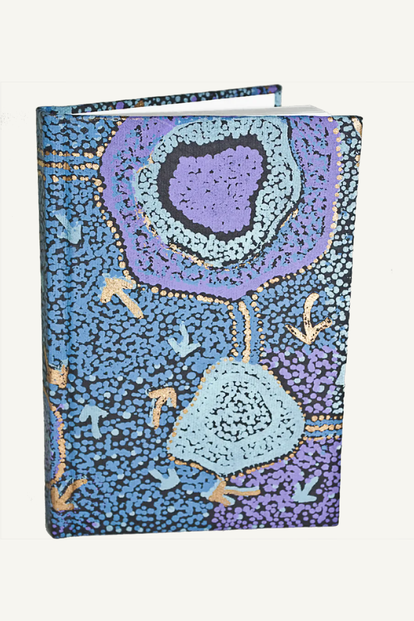 Pauline Nampijinpa Notebook