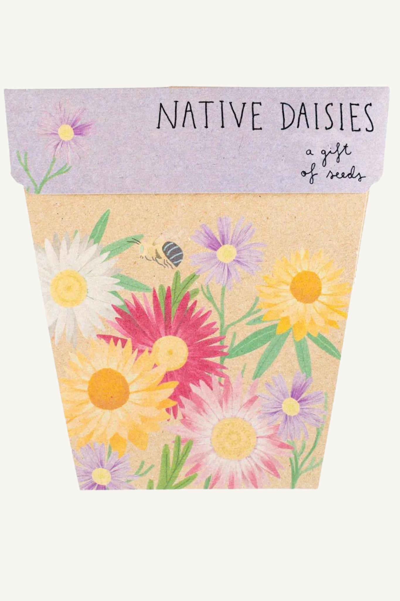 Native Daisies Gift of Seeds