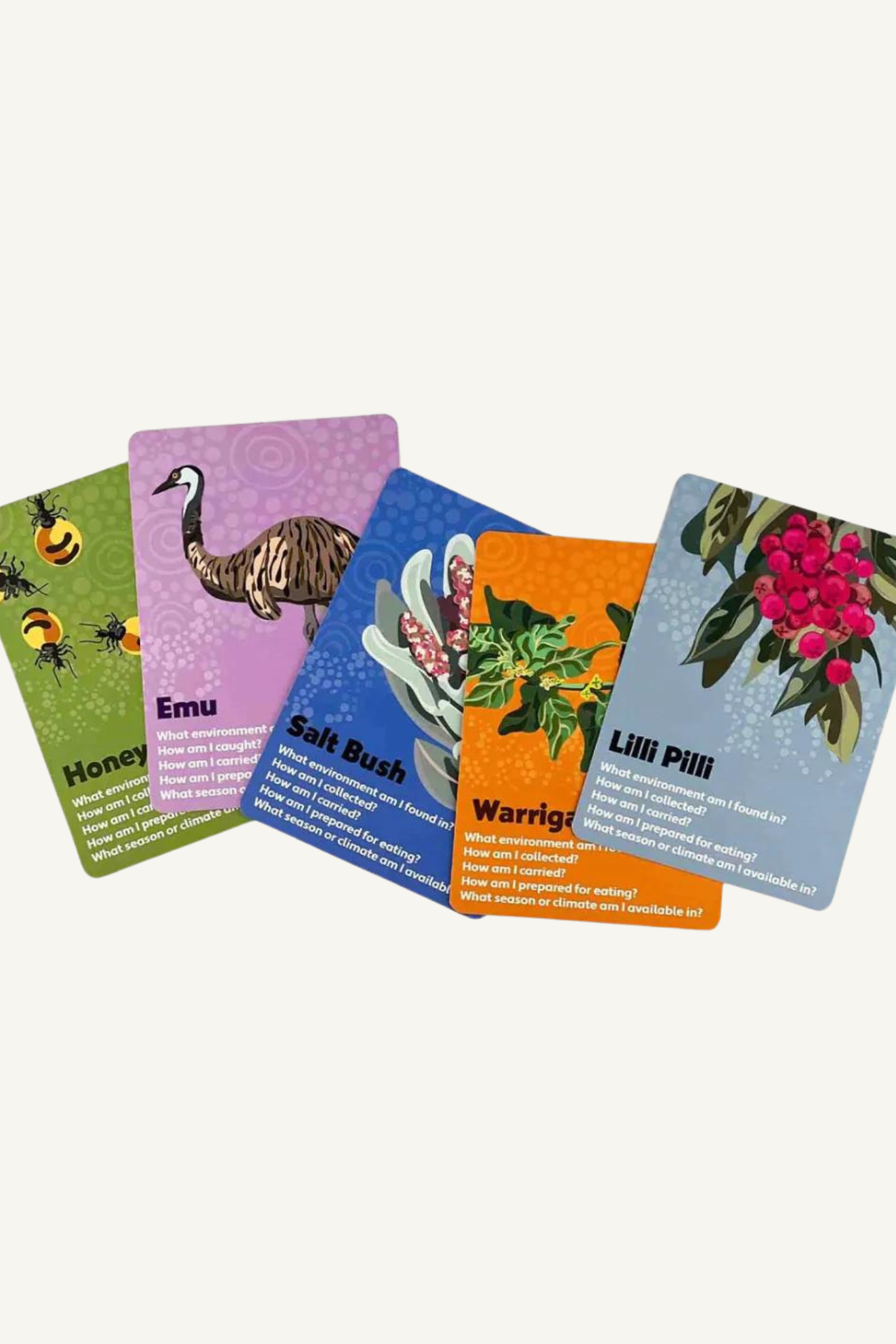 Bush Tucker Research Cards