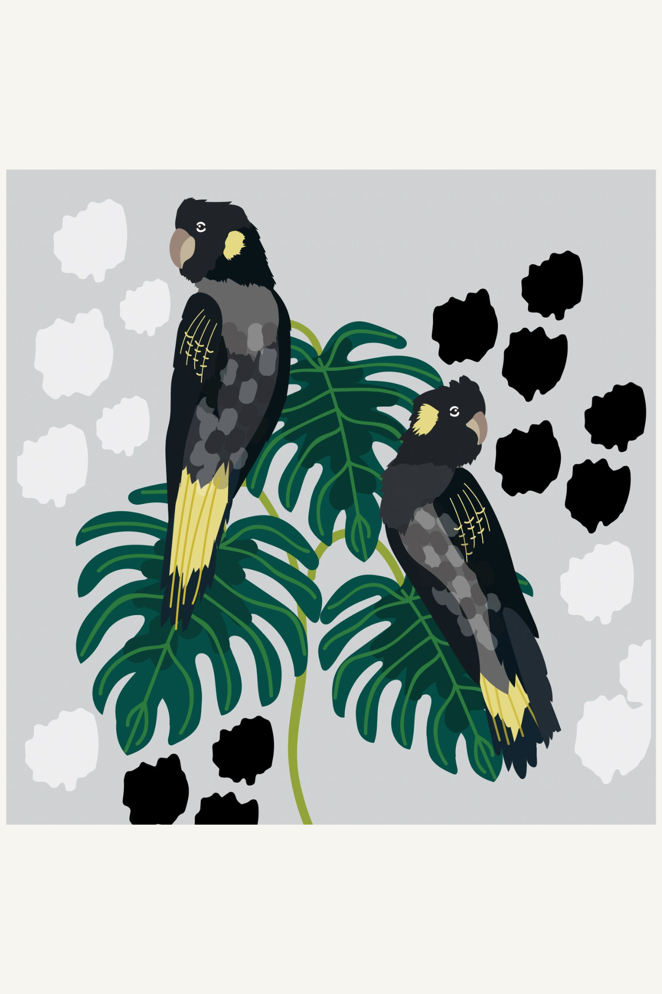 Greeting Card - Yellow Tailed Black Cockatoos