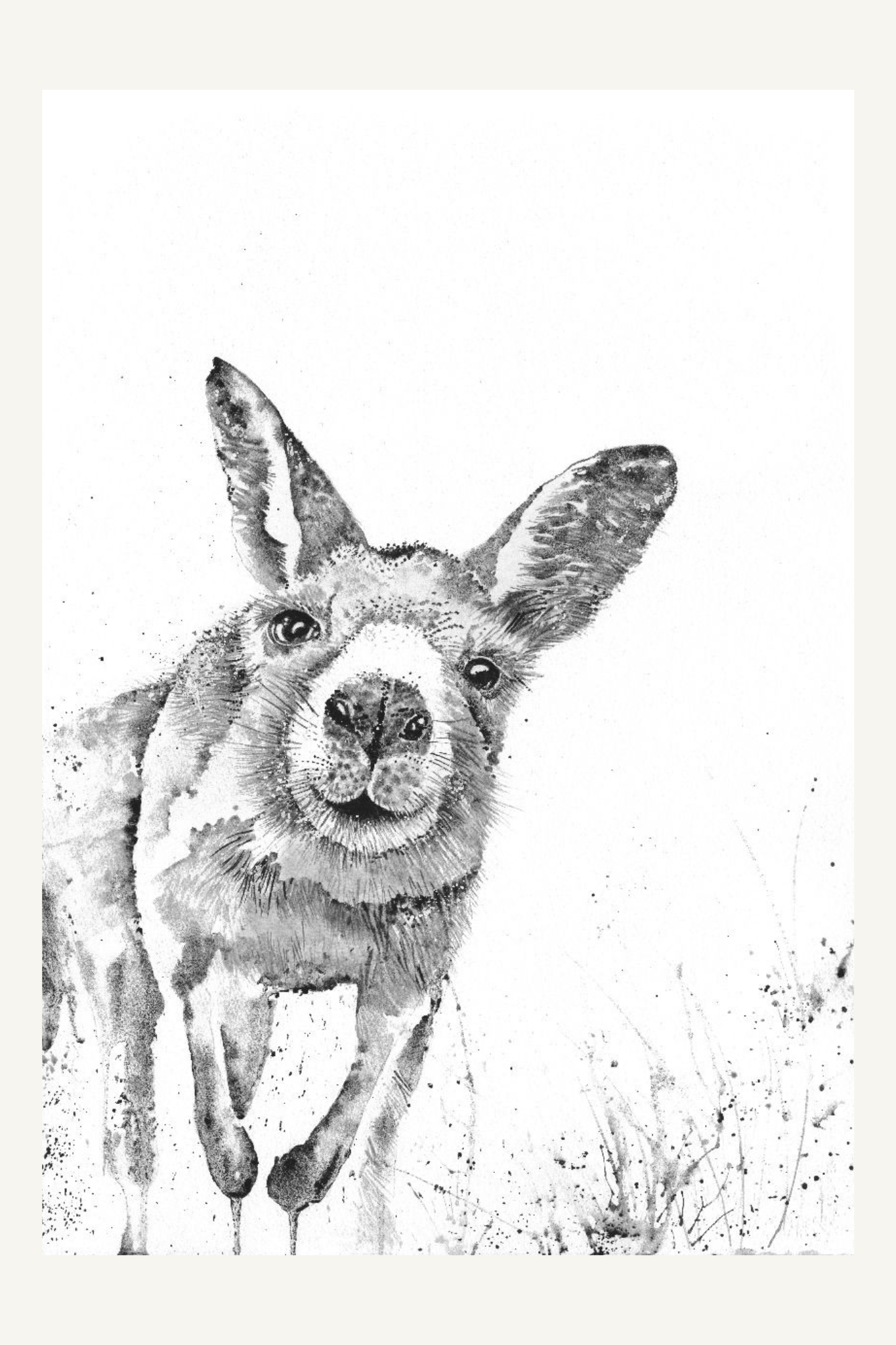 Greeting Card - Kangaroo Sketch