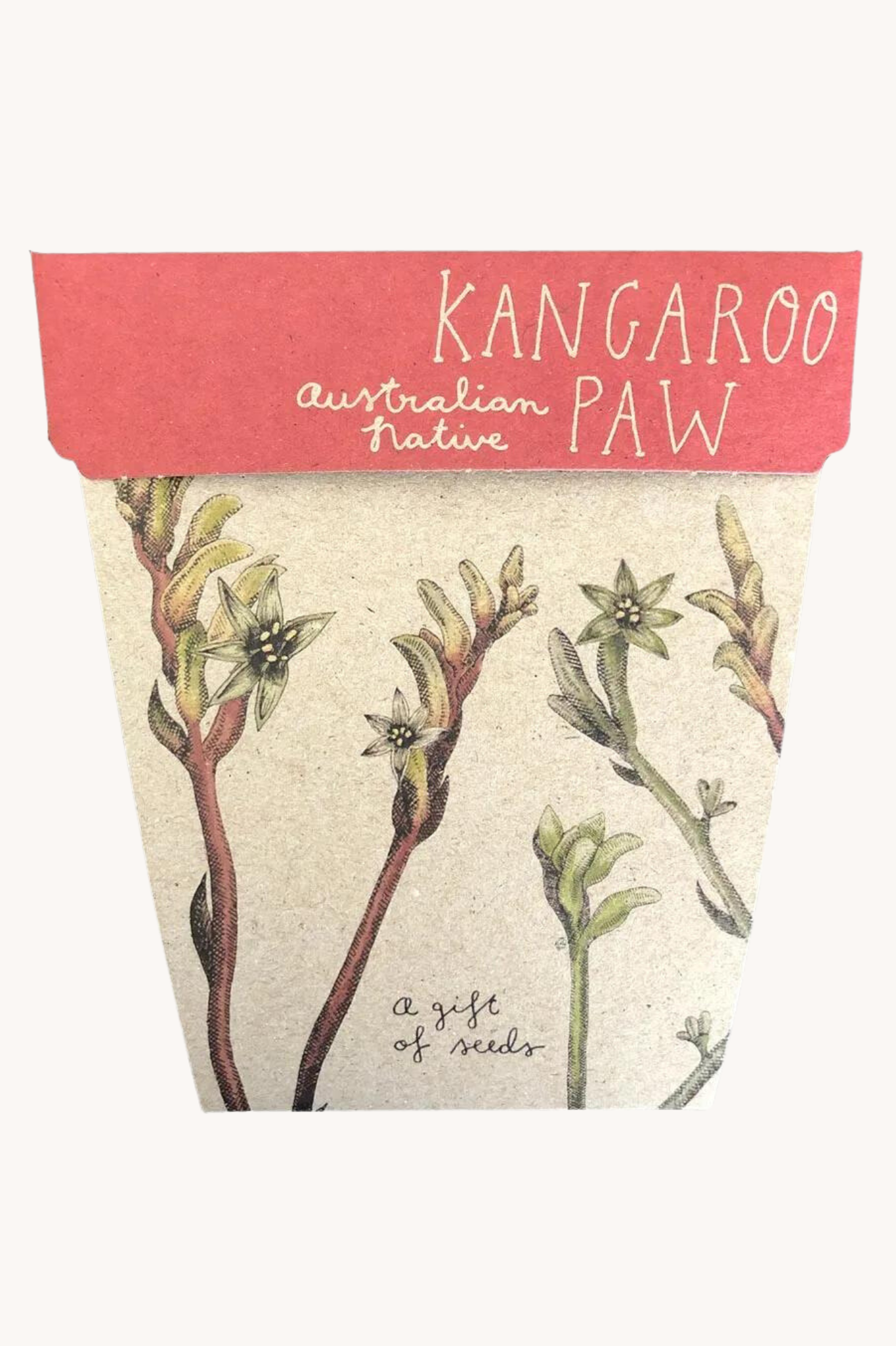 Kangaroo Paw Gift of Seeds