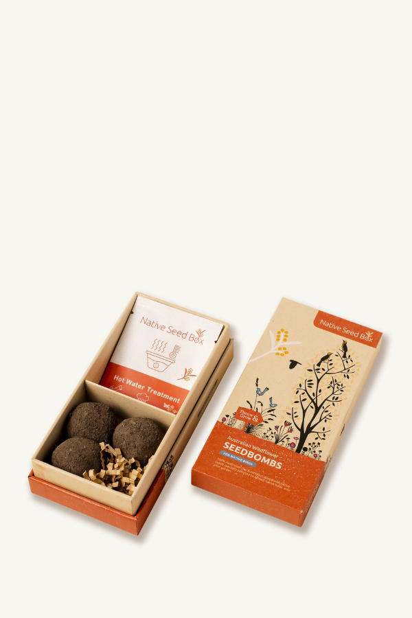 Native Seed Box