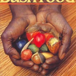 Bush Food: Aboriginal Food and Herbal Medicine