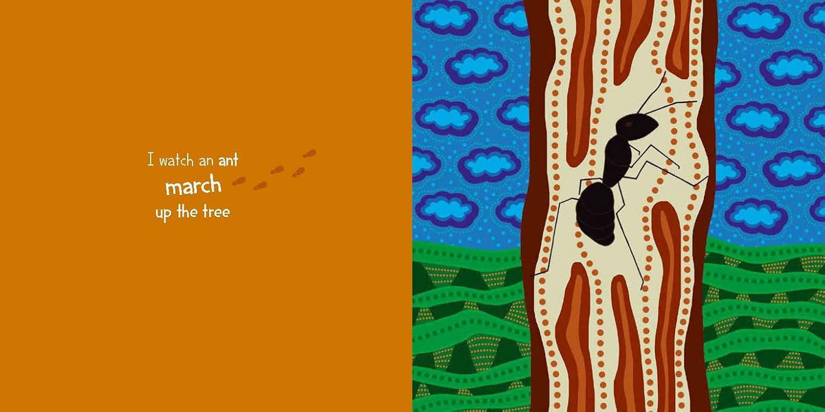 Backyard Bugs: A fun, creepy-crawly First Nations picture book