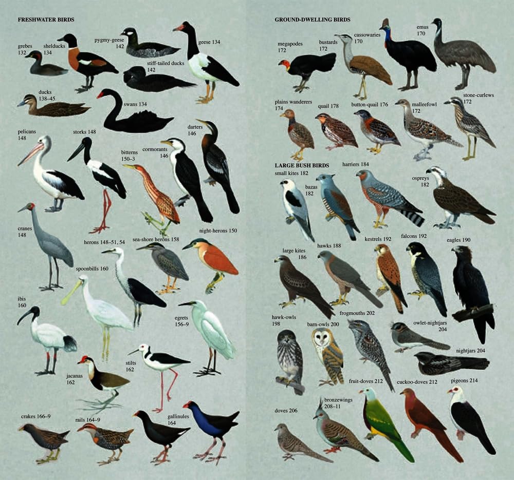 Slater Field Guide To Australian Birds Third Edition
