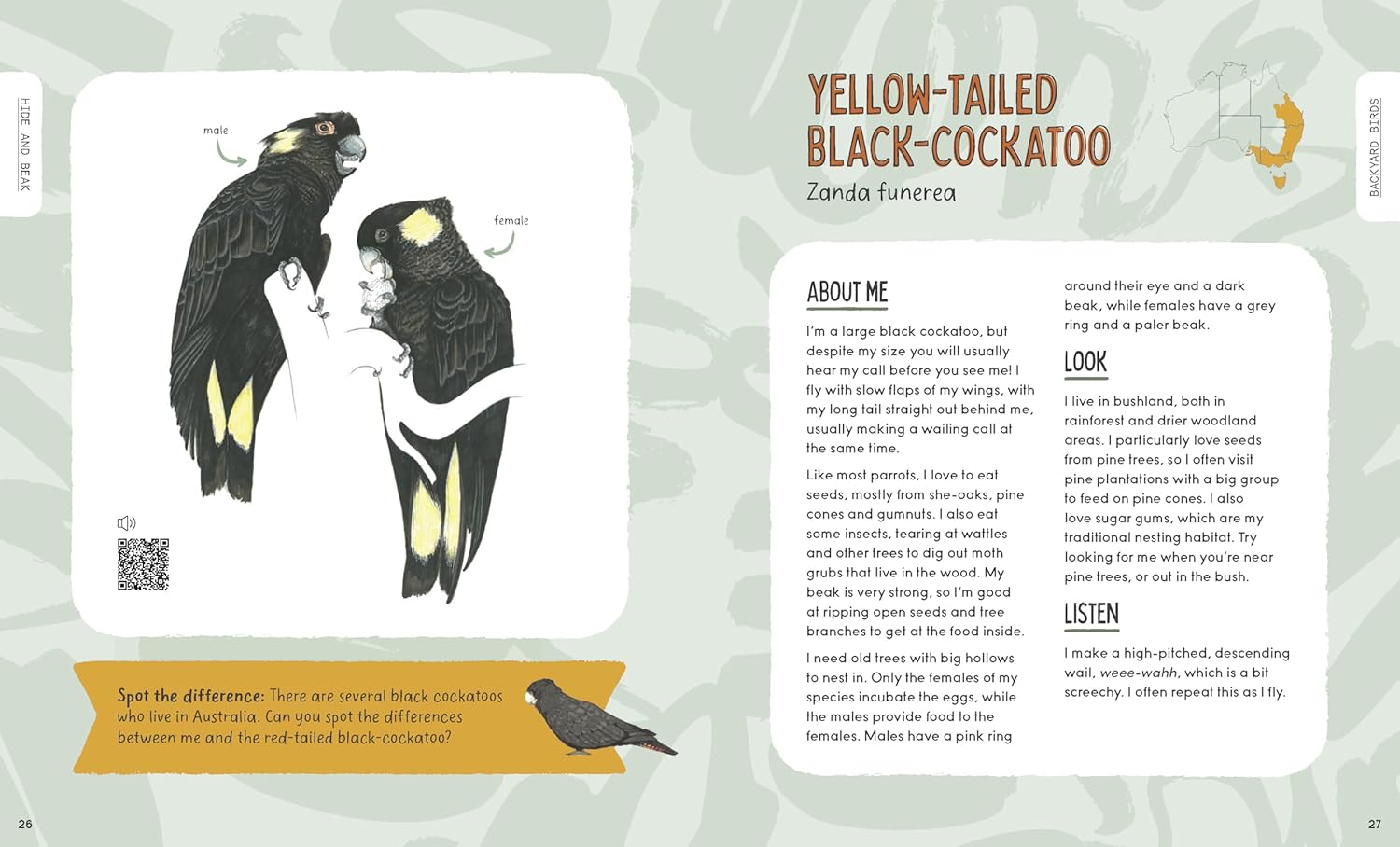 Hide and Beak: A guide to spotting Aussie birds in your backyard