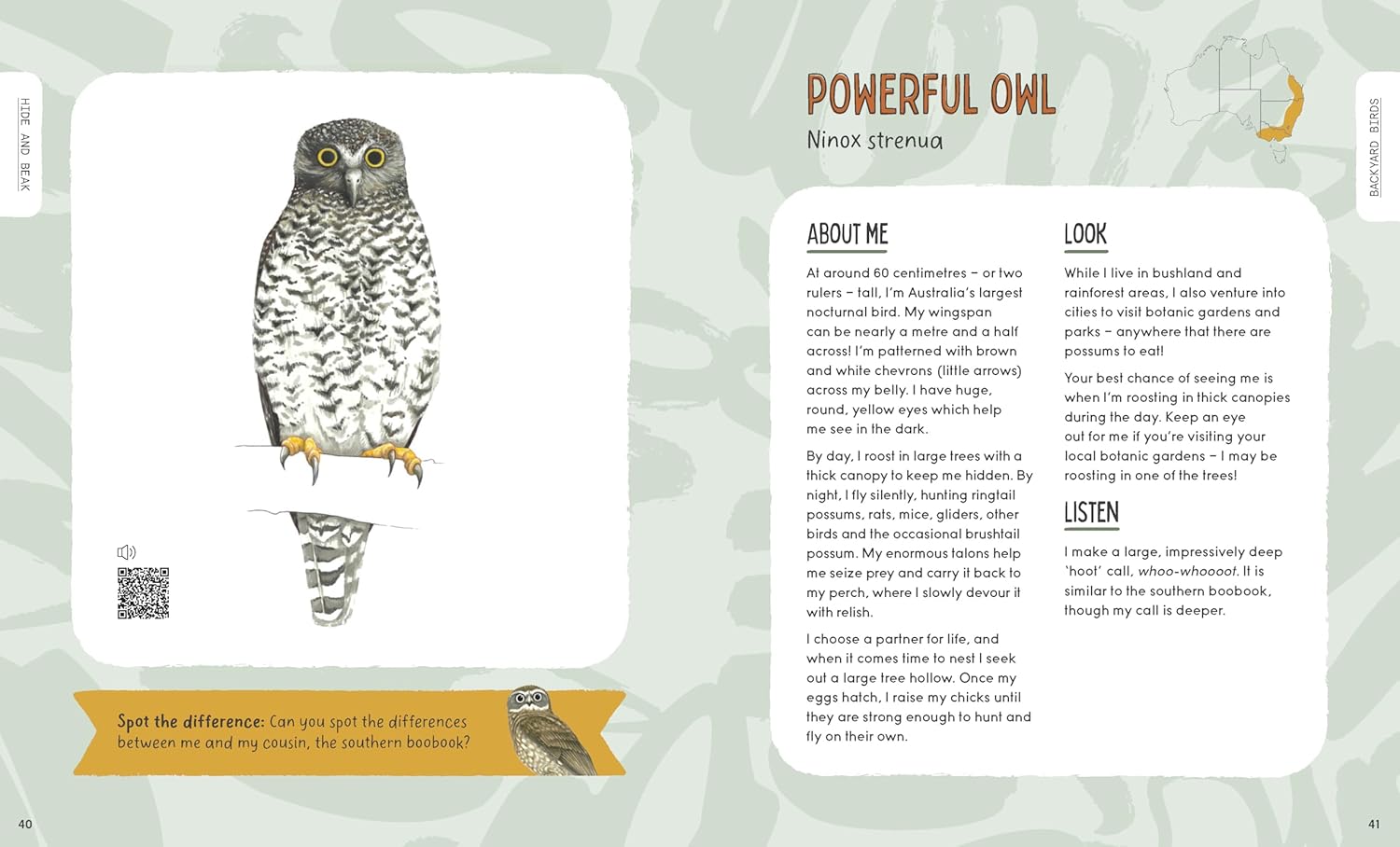 Hide and Beak: A guide to spotting Aussie birds in your backyard