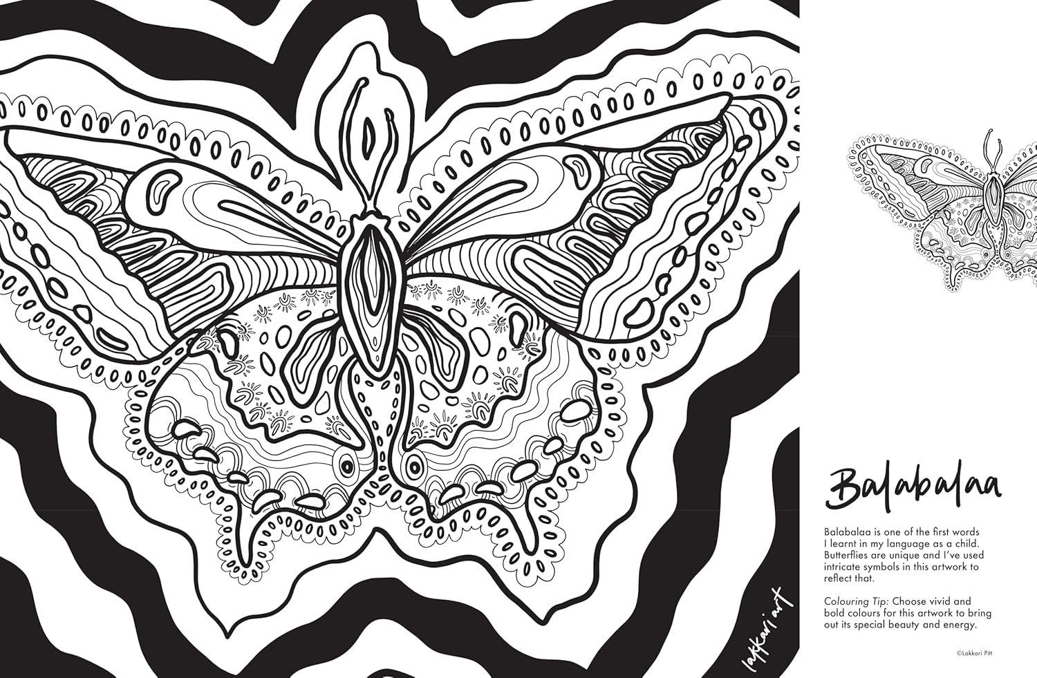 Yuluwirri: A First Nations colouring book