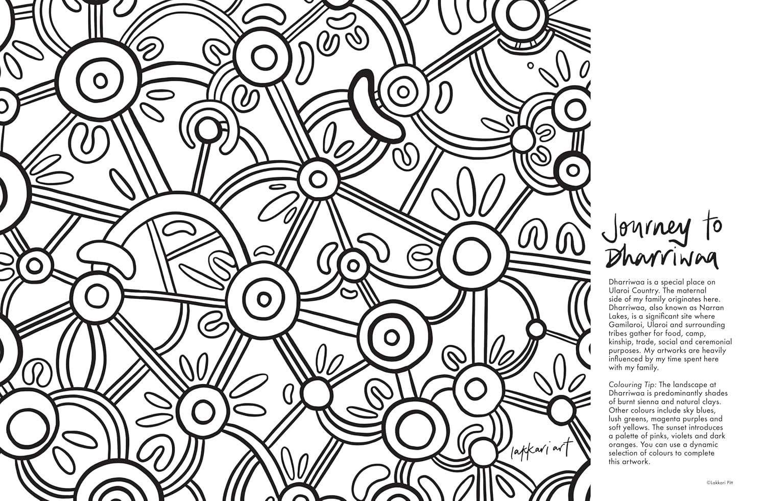 Yuluwirri: A First Nations colouring book