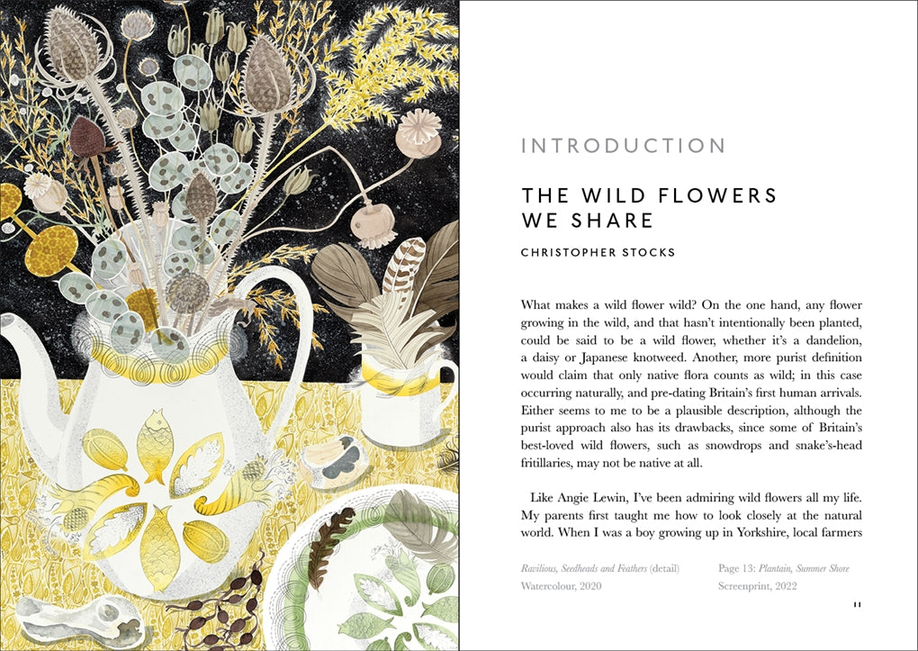 The Book of Wild Flowers:Reflections on Favourite Plants