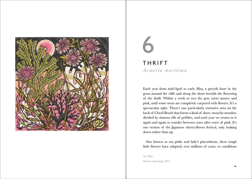 The Book of Wild Flowers:Reflections on Favourite Plants