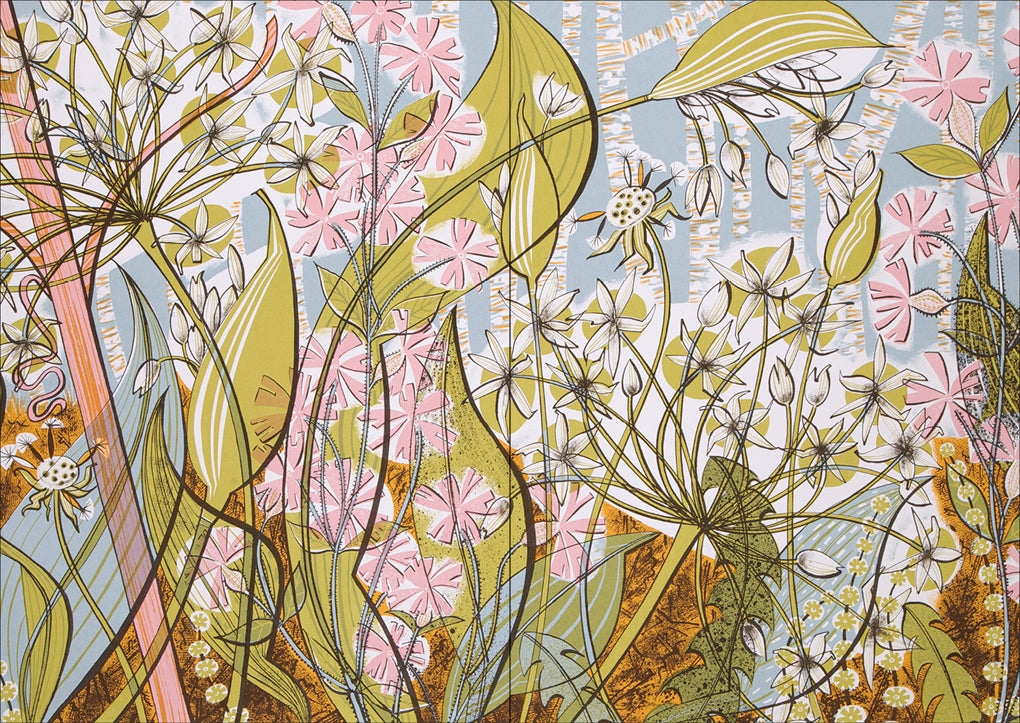 The Book of Wild Flowers:Reflections on Favourite Plants