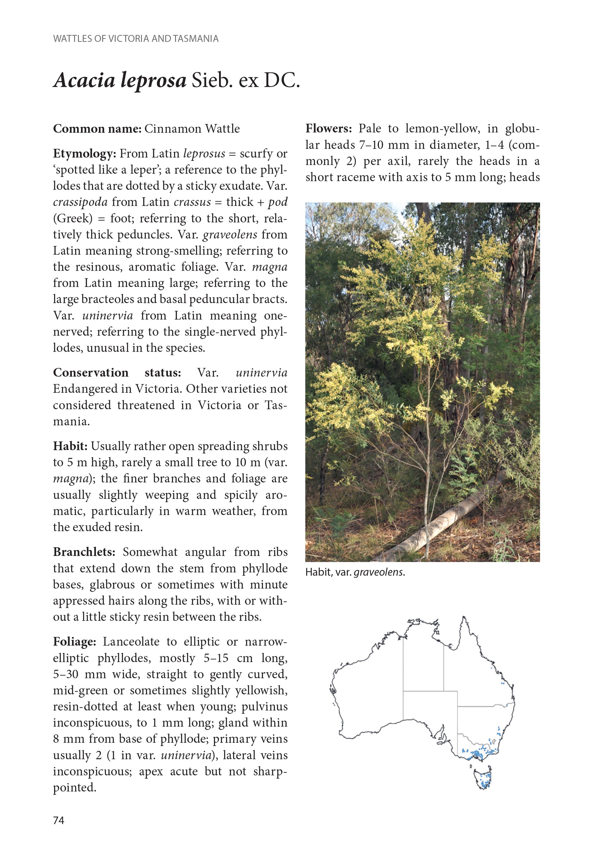 Wattles of Victoria and Tasmania