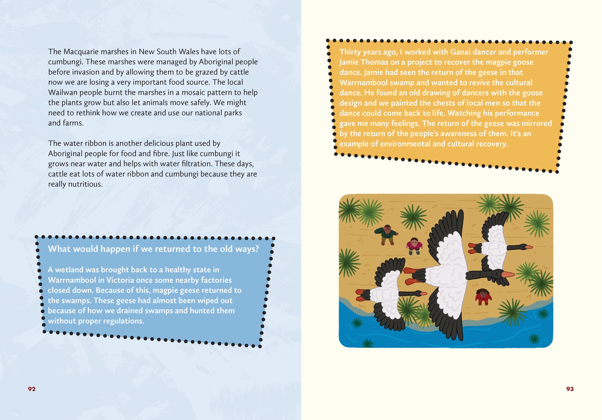 Caring for Country: First Knowledges for younger readers