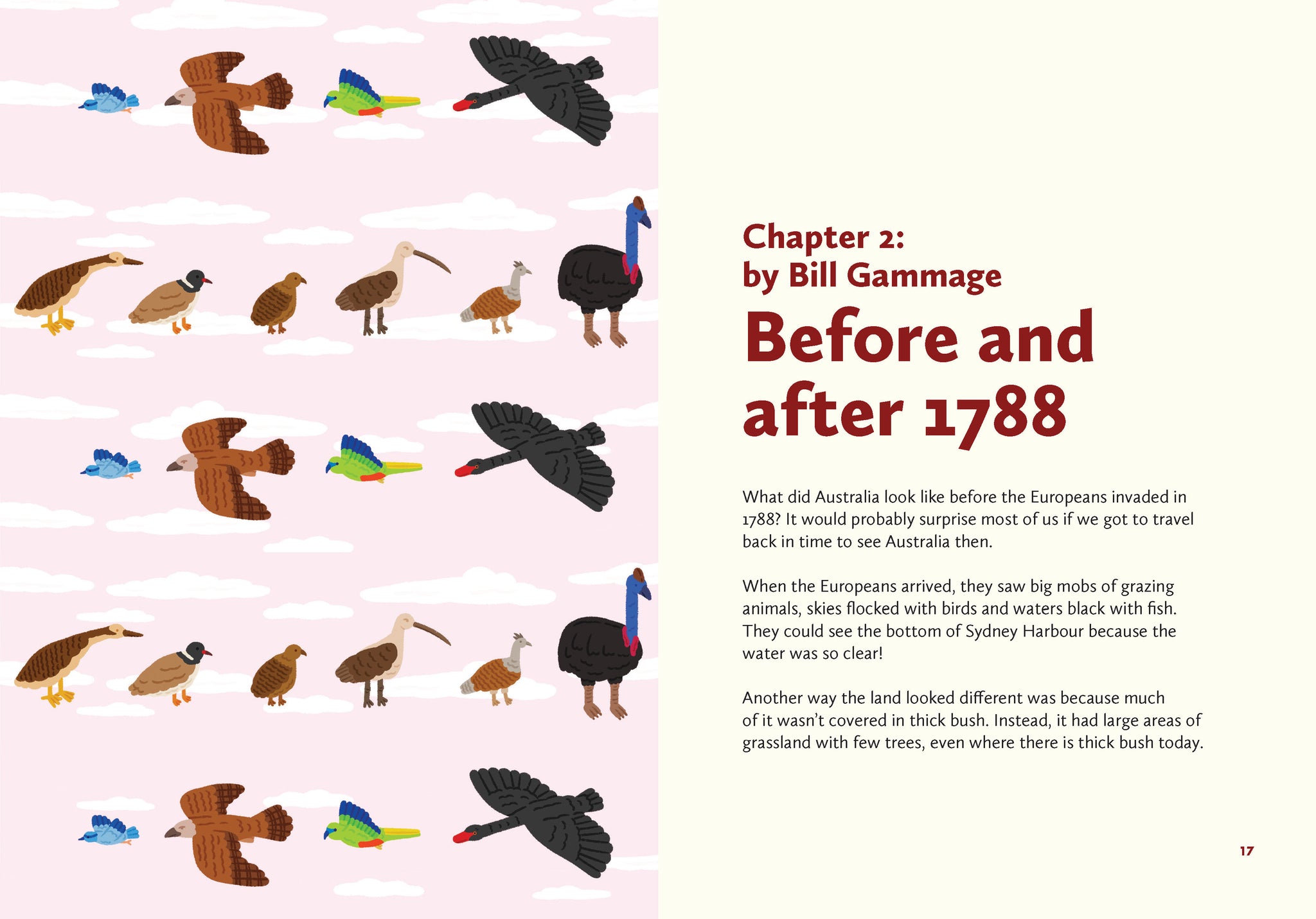 Caring for Country: First Knowledges for younger readers