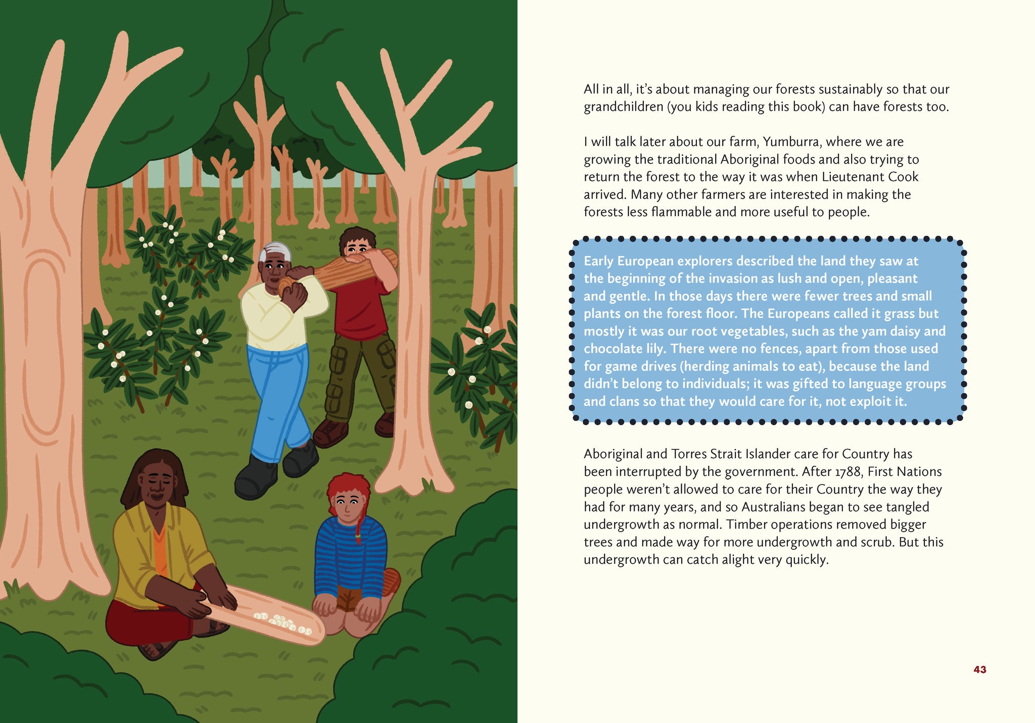 Caring for Country: First Knowledges for younger readers