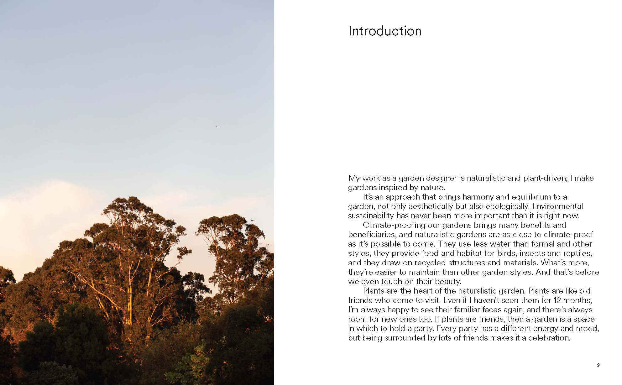 Wild by Design: Naturalistic Gardening for Modern Australian Landscapes