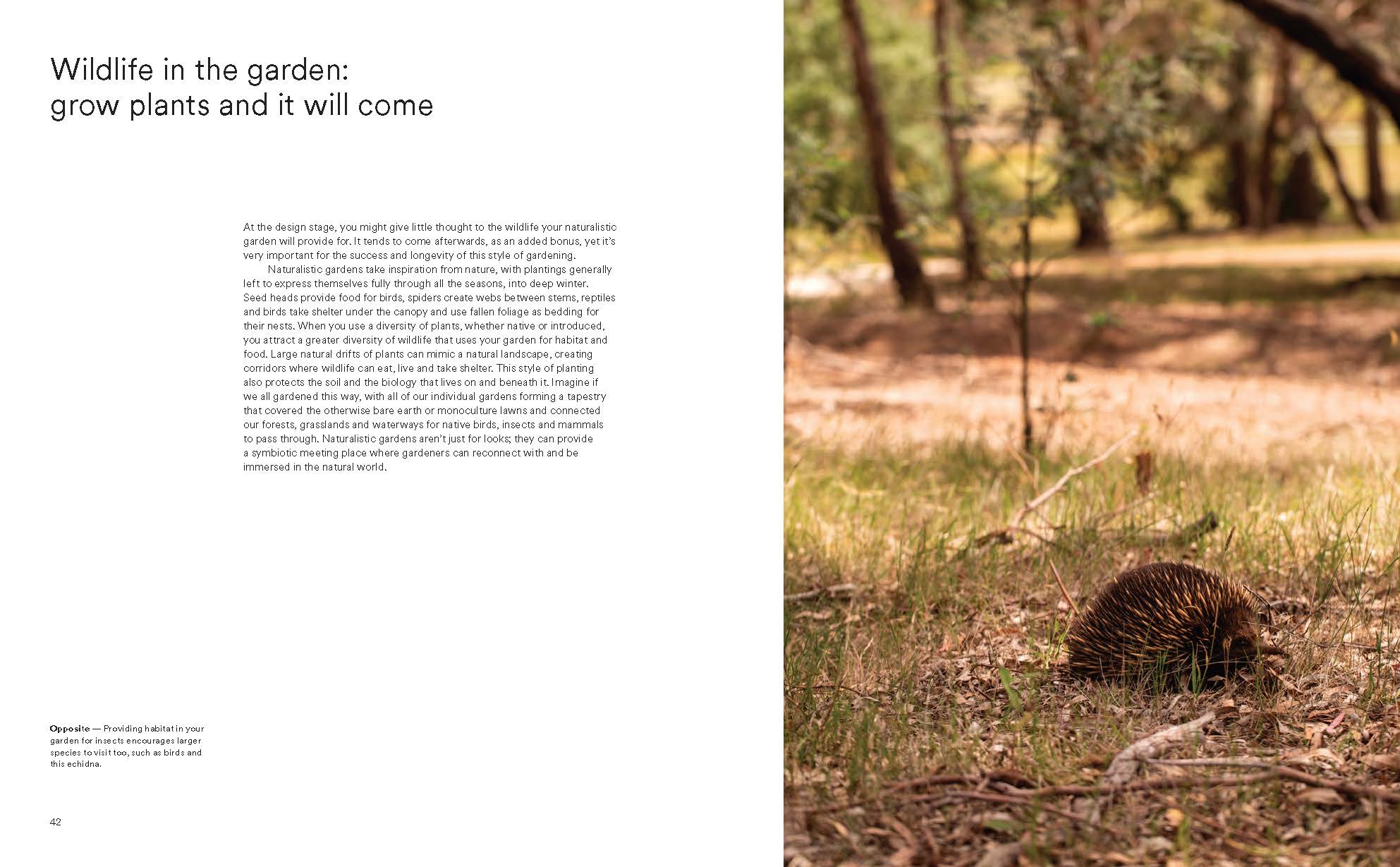 Wild by Design: Naturalistic Gardening for Modern Australian Landscapes