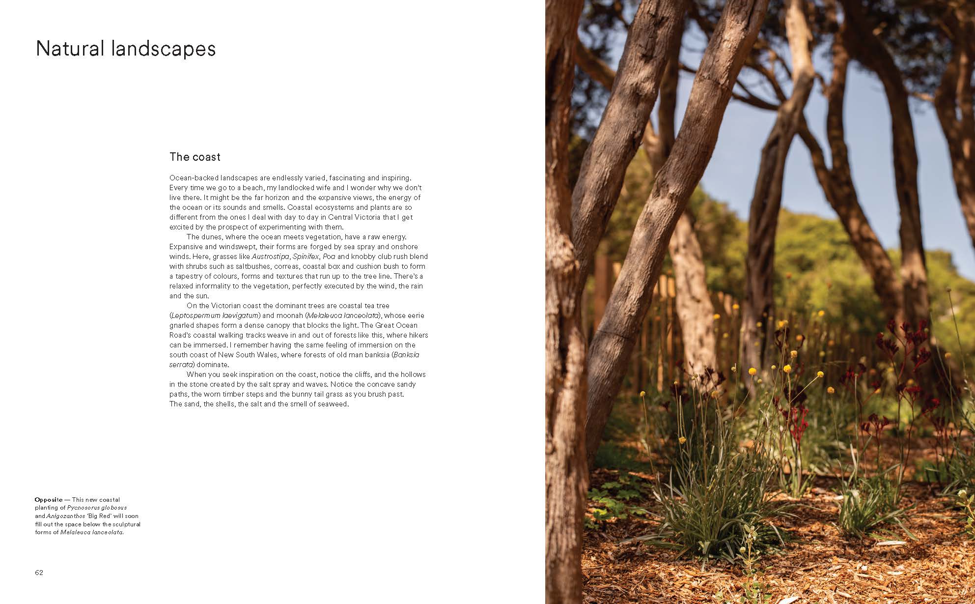 Wild by Design: Naturalistic Gardening for Modern Australian Landscapes