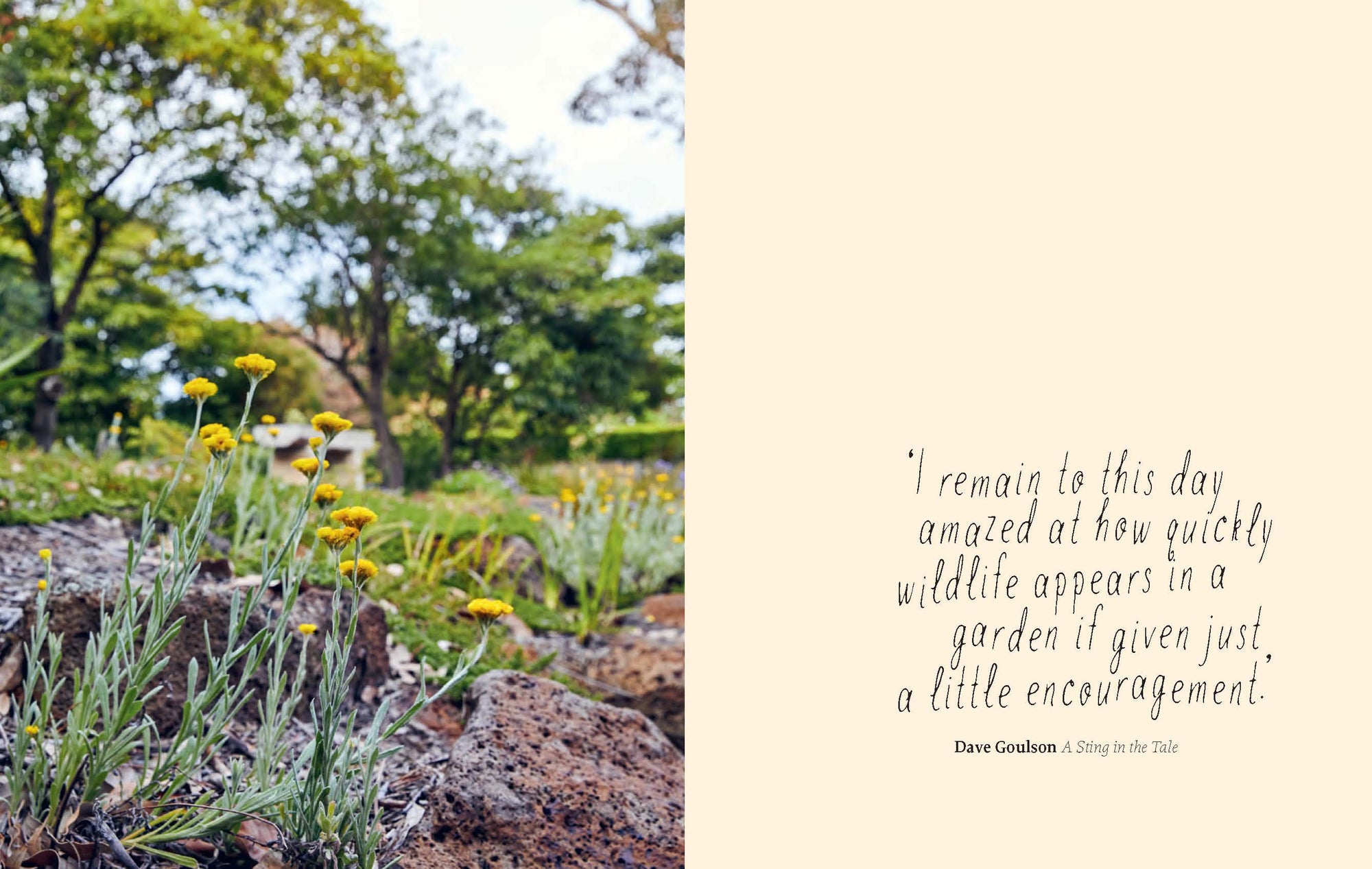 Planting for Native Birds, Bees and Butterflies