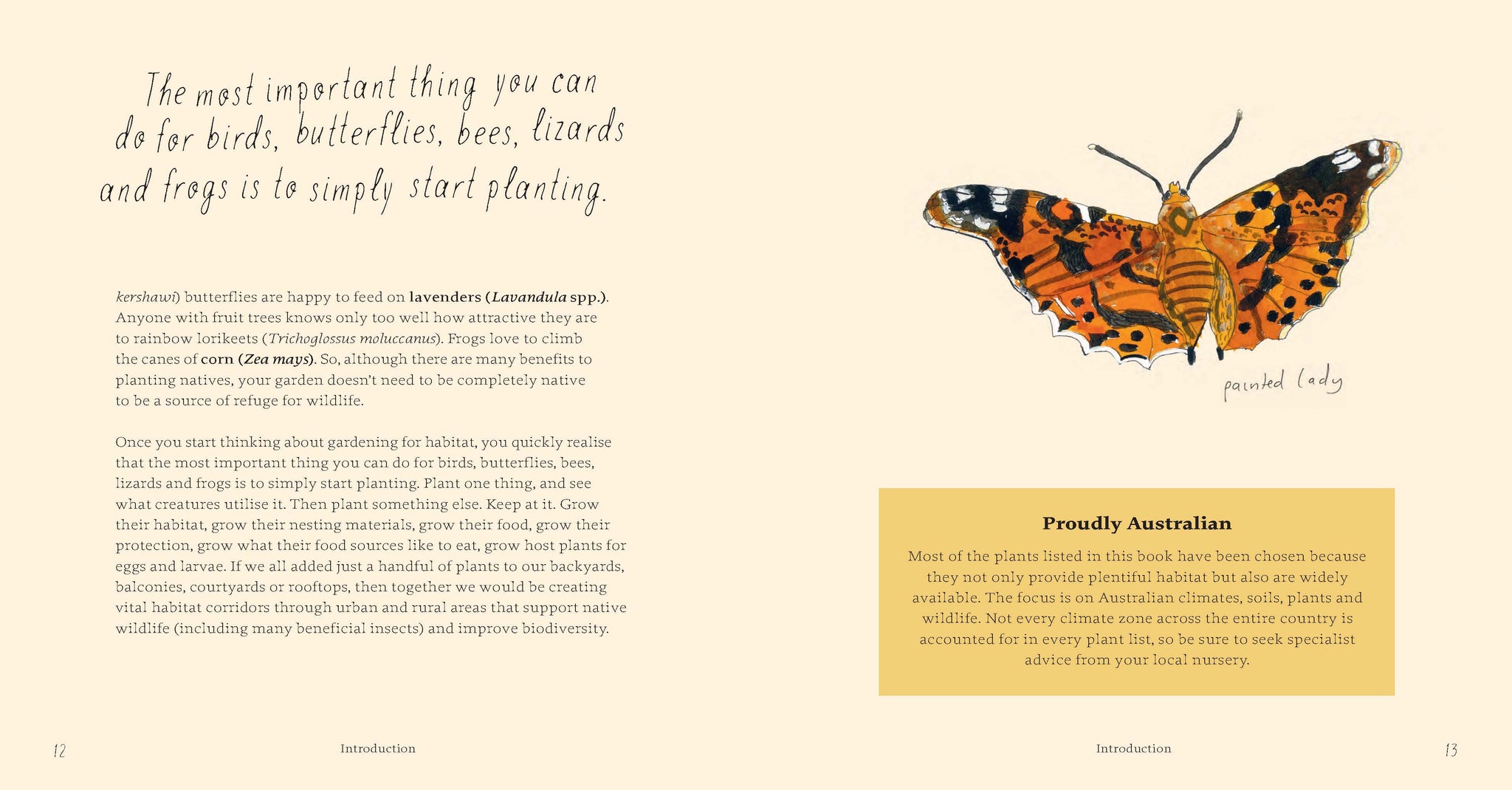 Planting for Native Birds, Bees and Butterflies