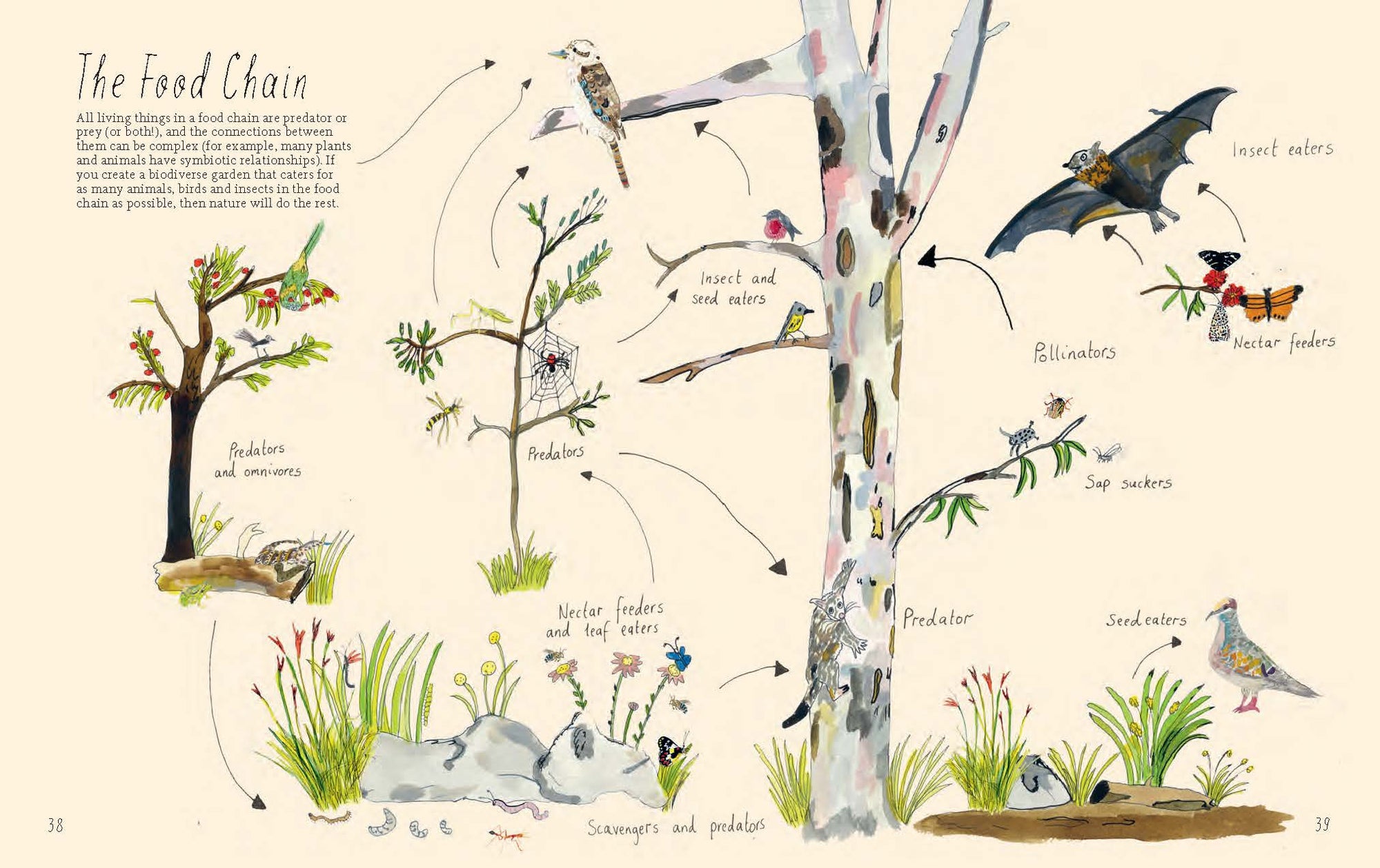 Planting for Native Birds, Bees and Butterflies