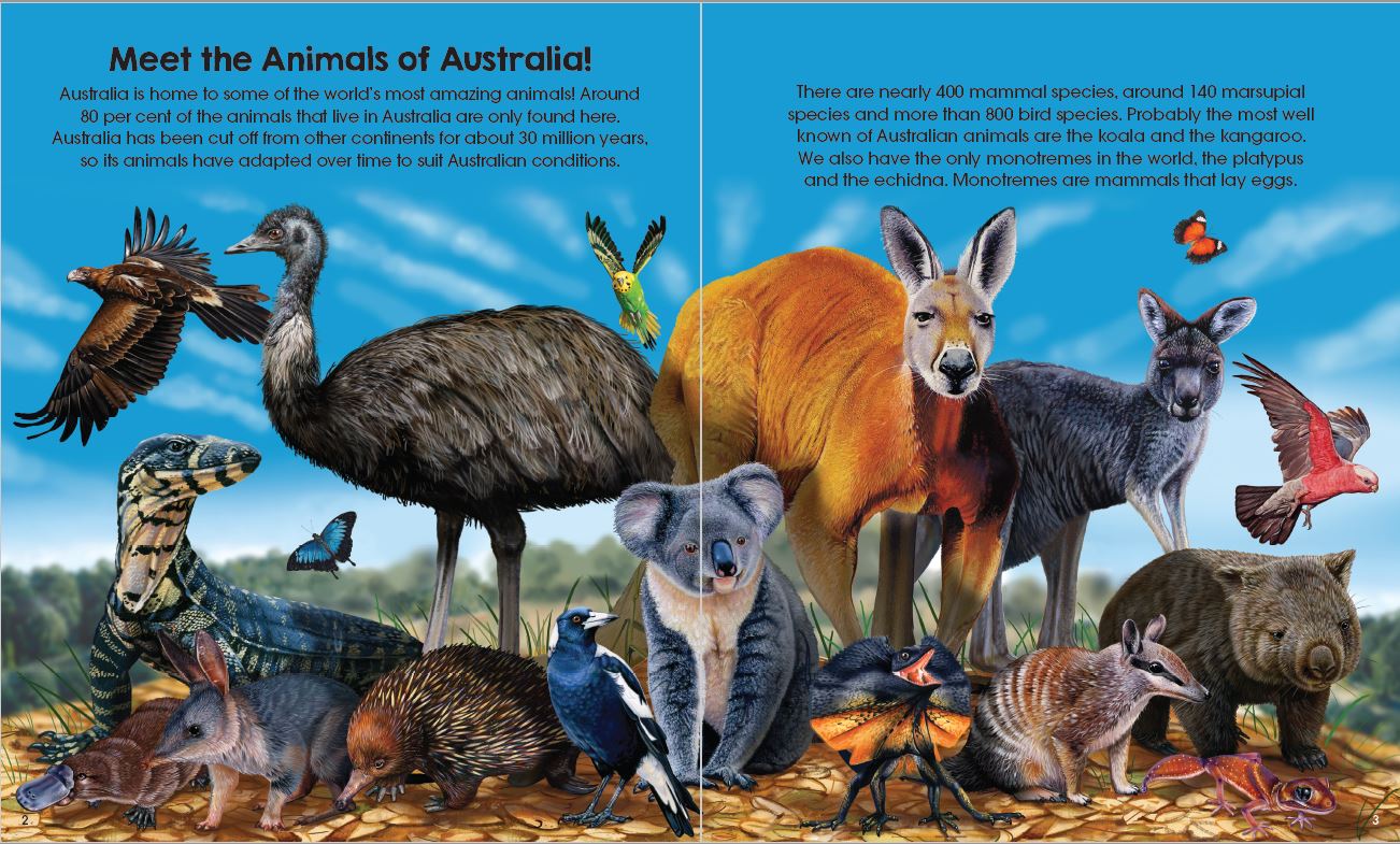 Book & Puzzle - Animals of Australia