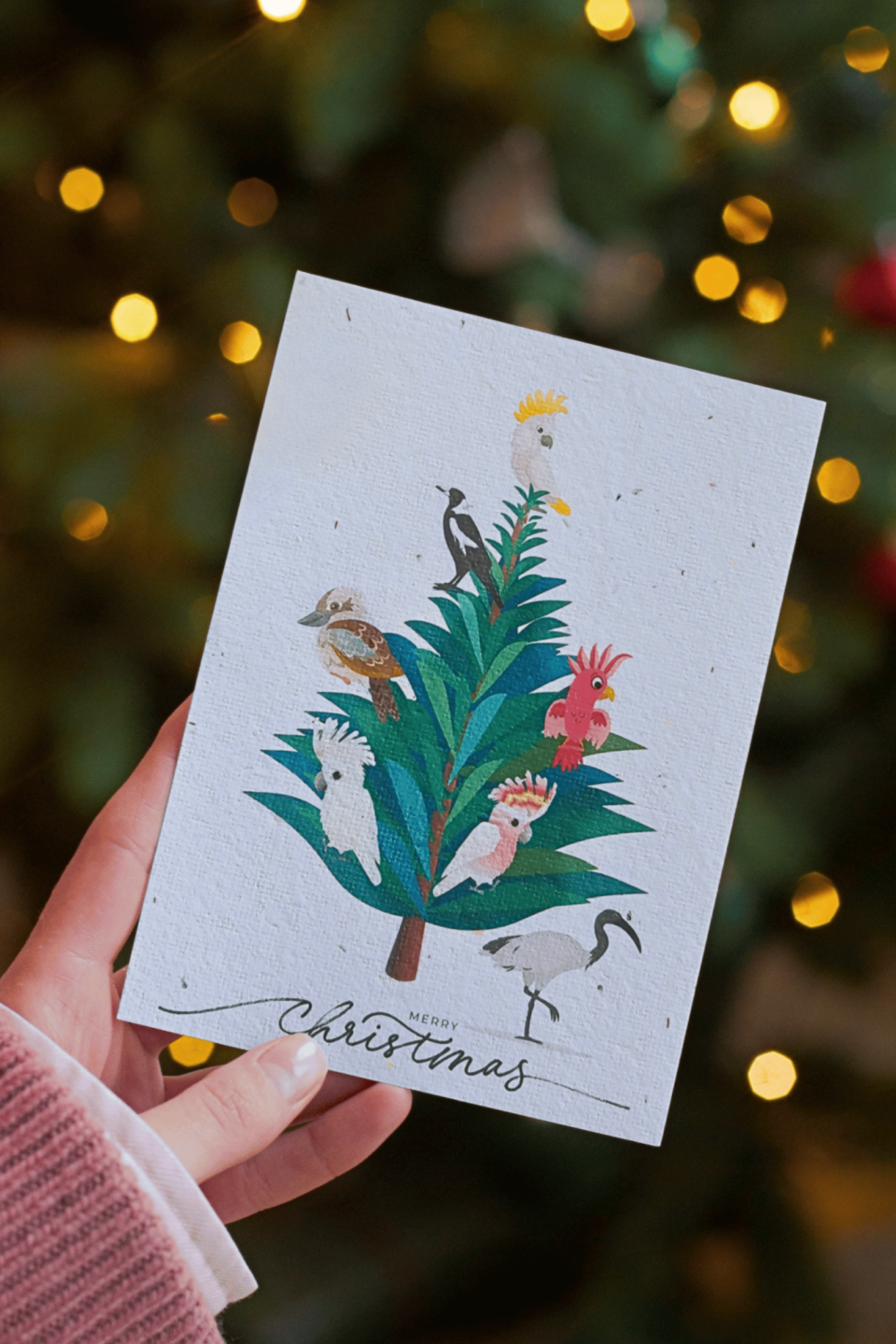 Plantable Christmas Native Bird Card