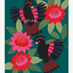 Greeting Card -  Red Tailed Black Cockatoos Mini