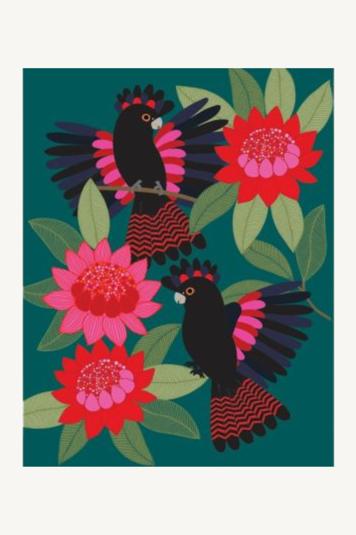 Greeting Card -  Red Tailed Black Cockatoos Mini