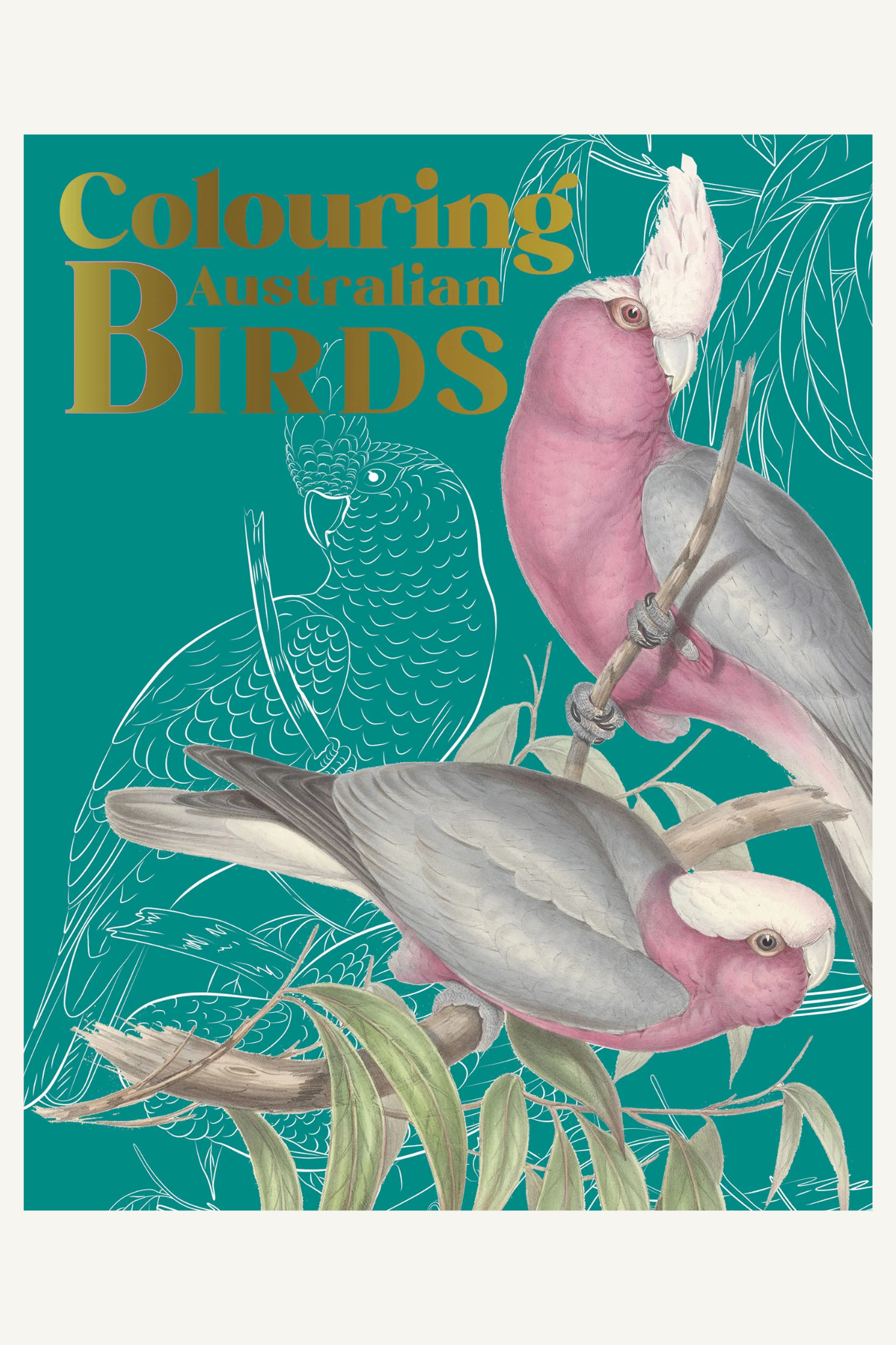 Colouring Australian Birds - Fifth Edition