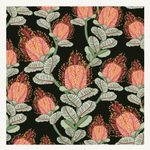 Kirsten Katz Gift Card -  Coral Banksia