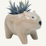 Wombat Planter