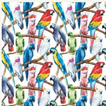 Parrot Talk Square Greeting Card