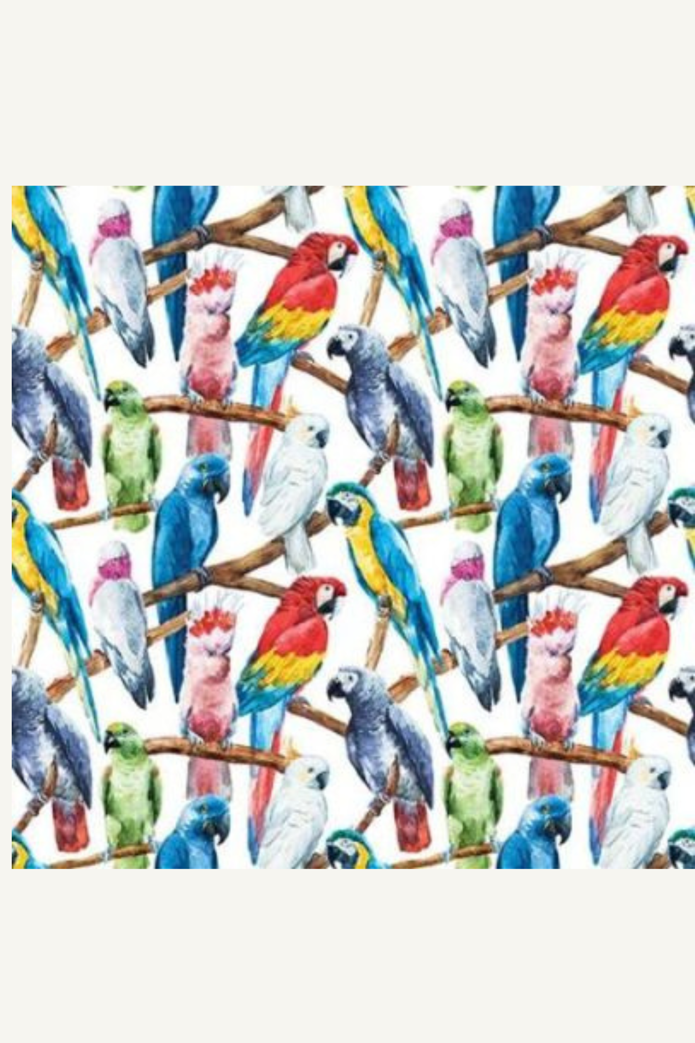 Parrot Talk Square Greeting Card