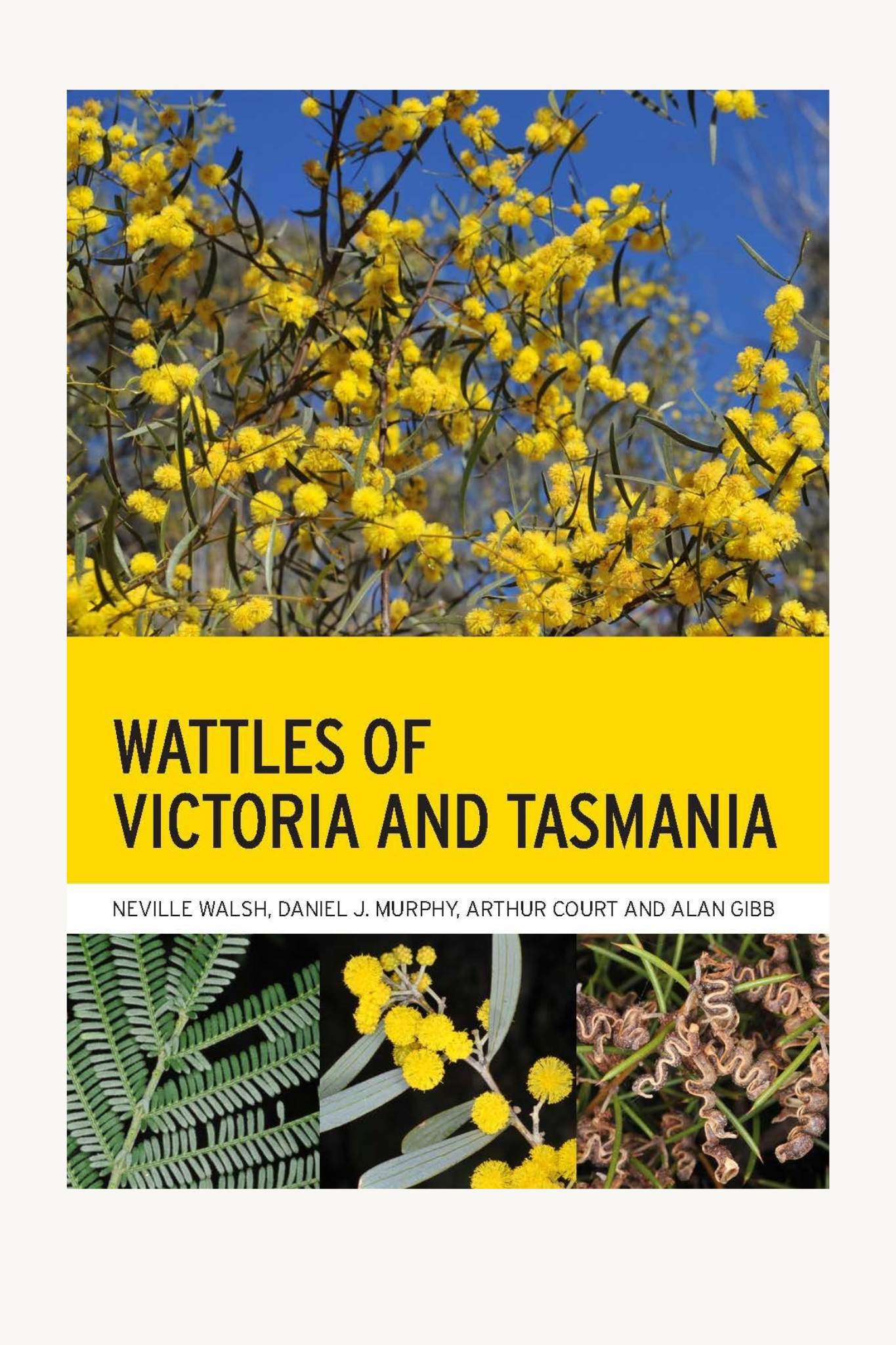 Wattles of Victoria and Tasmania