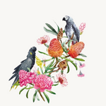 Greeting Card - Australian Birds