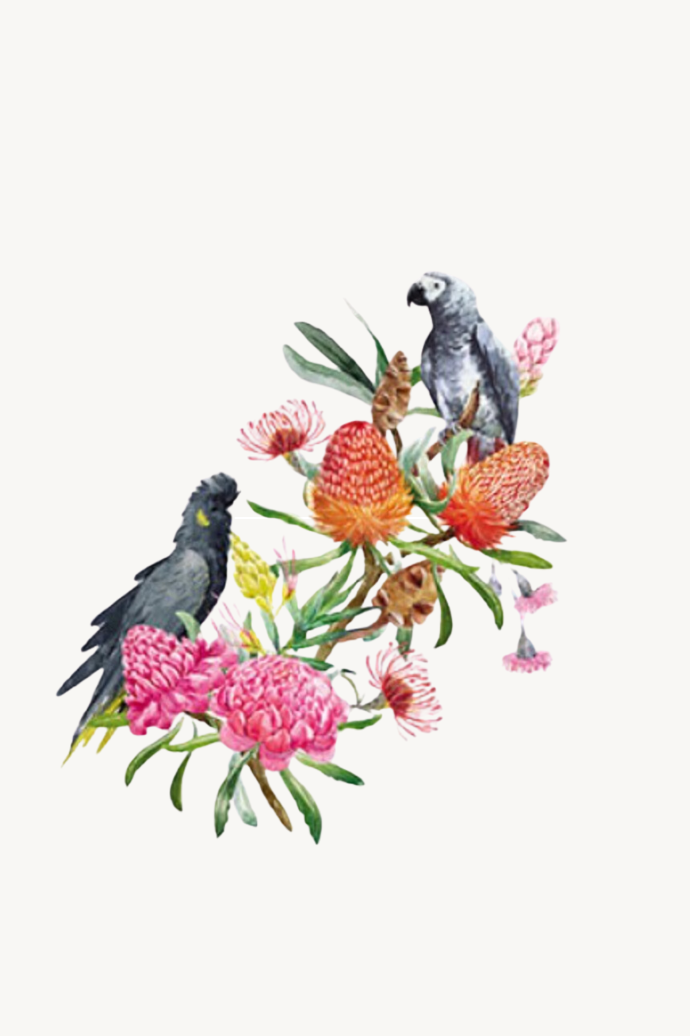 Greeting Card - Australian Birds