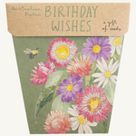 Birthday Wishes Gift of Seeds