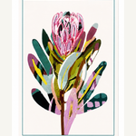 Greeting Card - Protea