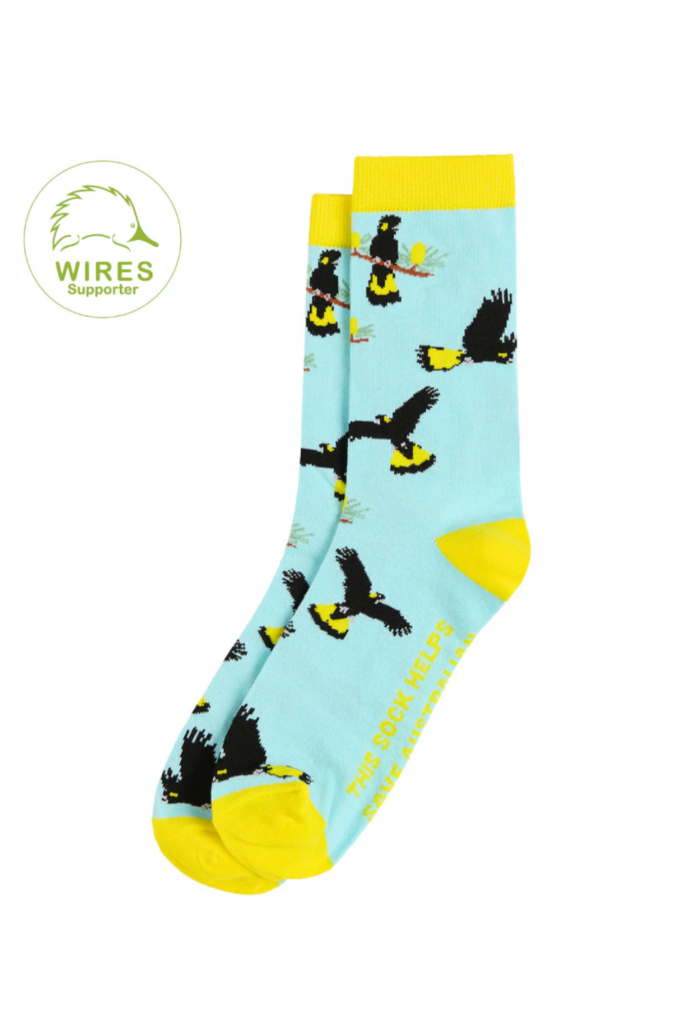 Yellow-tailed Black Cockatoo Sock